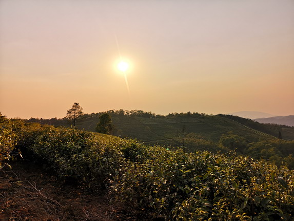 茶空间，生活中的悠闲空间
