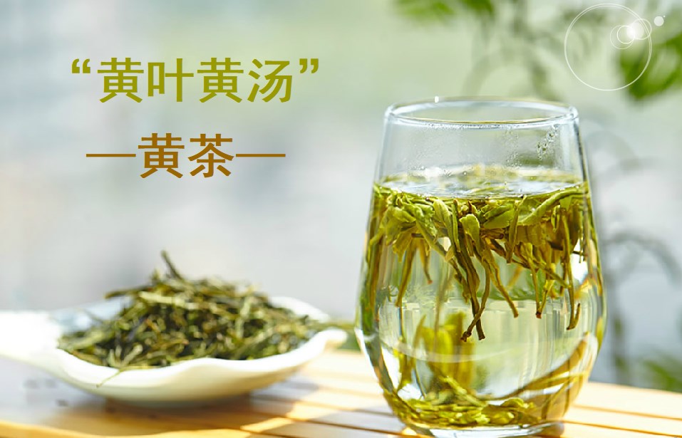 “黄叶黄汤”的黄茶