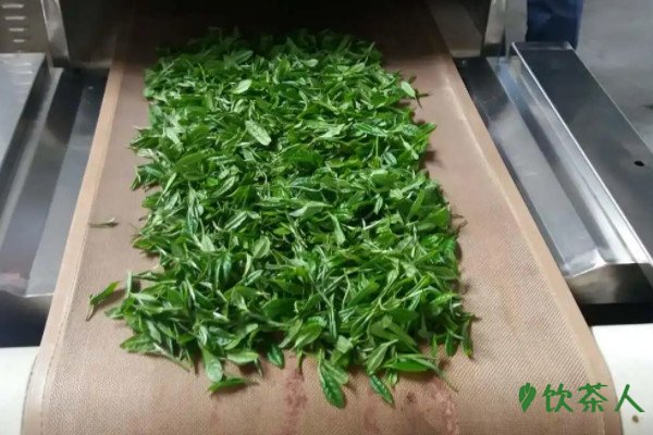 杀青是什么意思，杀青的含义是指什么(制茶首道工序)