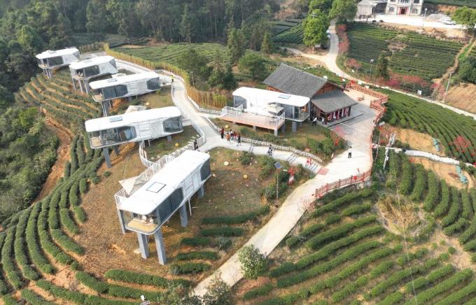 文旅新探｜广西昭平：茶香越千年